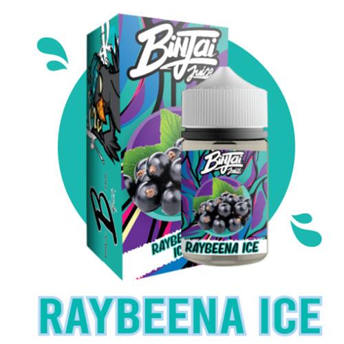 Raybeena Ice by Binjai Ejuice and Eliquid 60ml